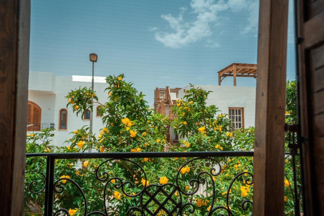 Rafiki Hostels - Dahab Bagian luar foto