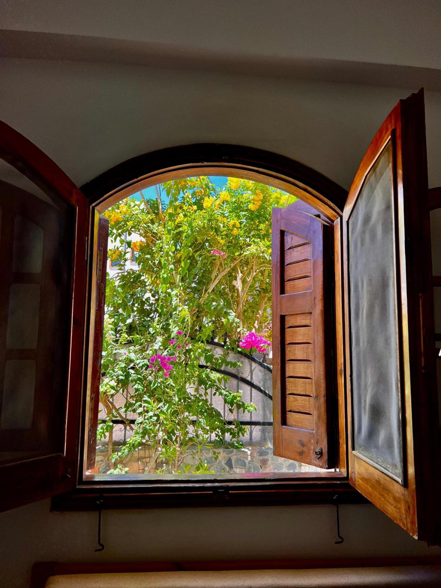 Rafiki Hostels - Dahab Bagian luar foto